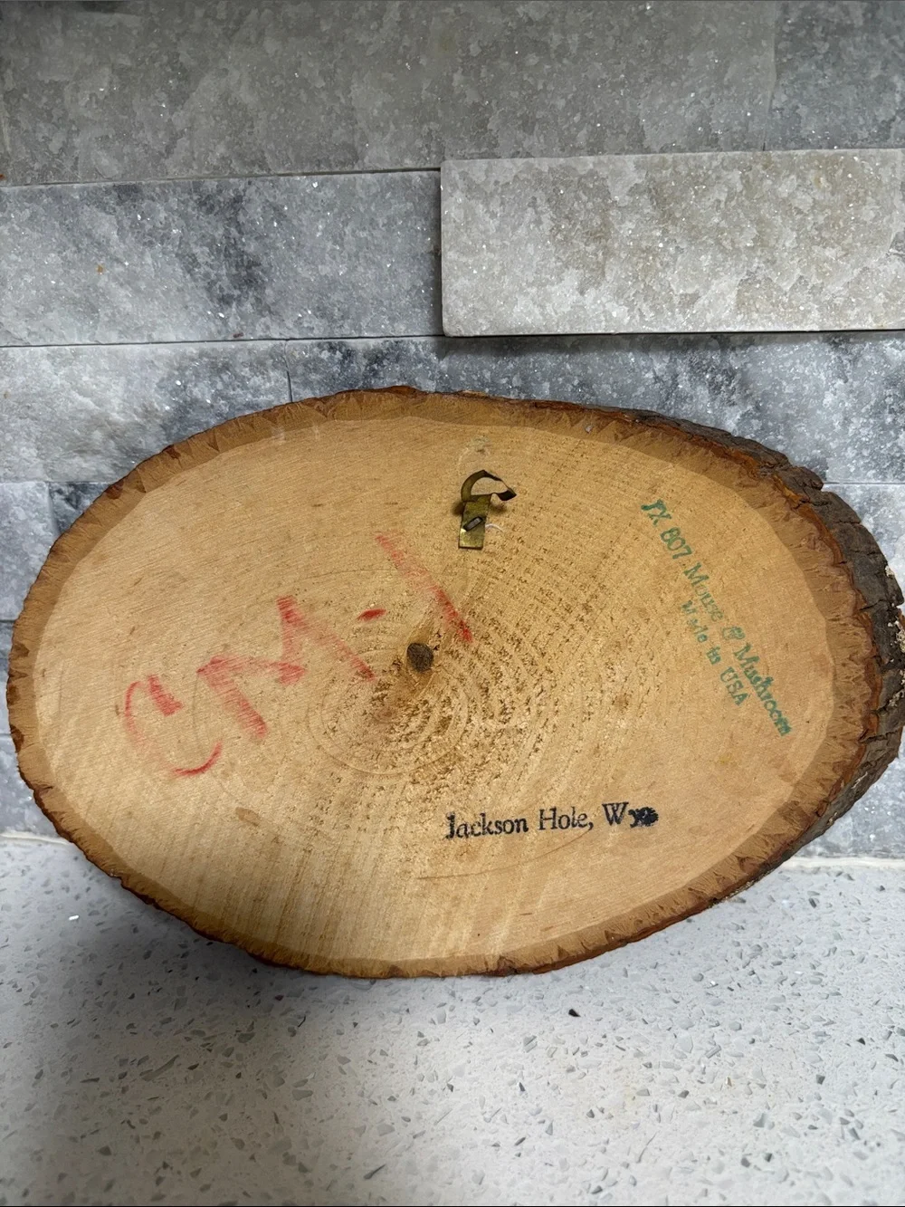 VTG 70’s Rustic Yellow Mushroom & Mouse Oval Wood Slice Decoupage Wall Plaque